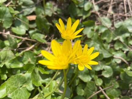 04DD7A78-8CEB-44CD-9AA5-F3CFE024C619-22244-000004FE0EB7E842